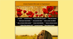 Desktop Screenshot of etlikcicek.com